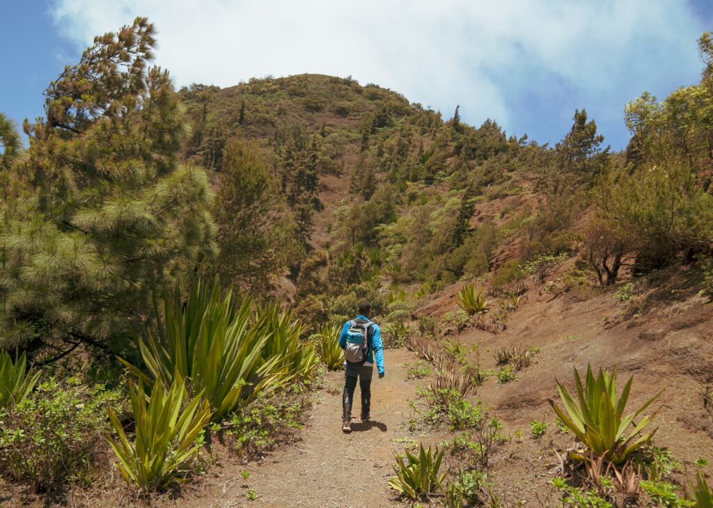 Walking in the Monte Gordo National Park on Sao Nicolau