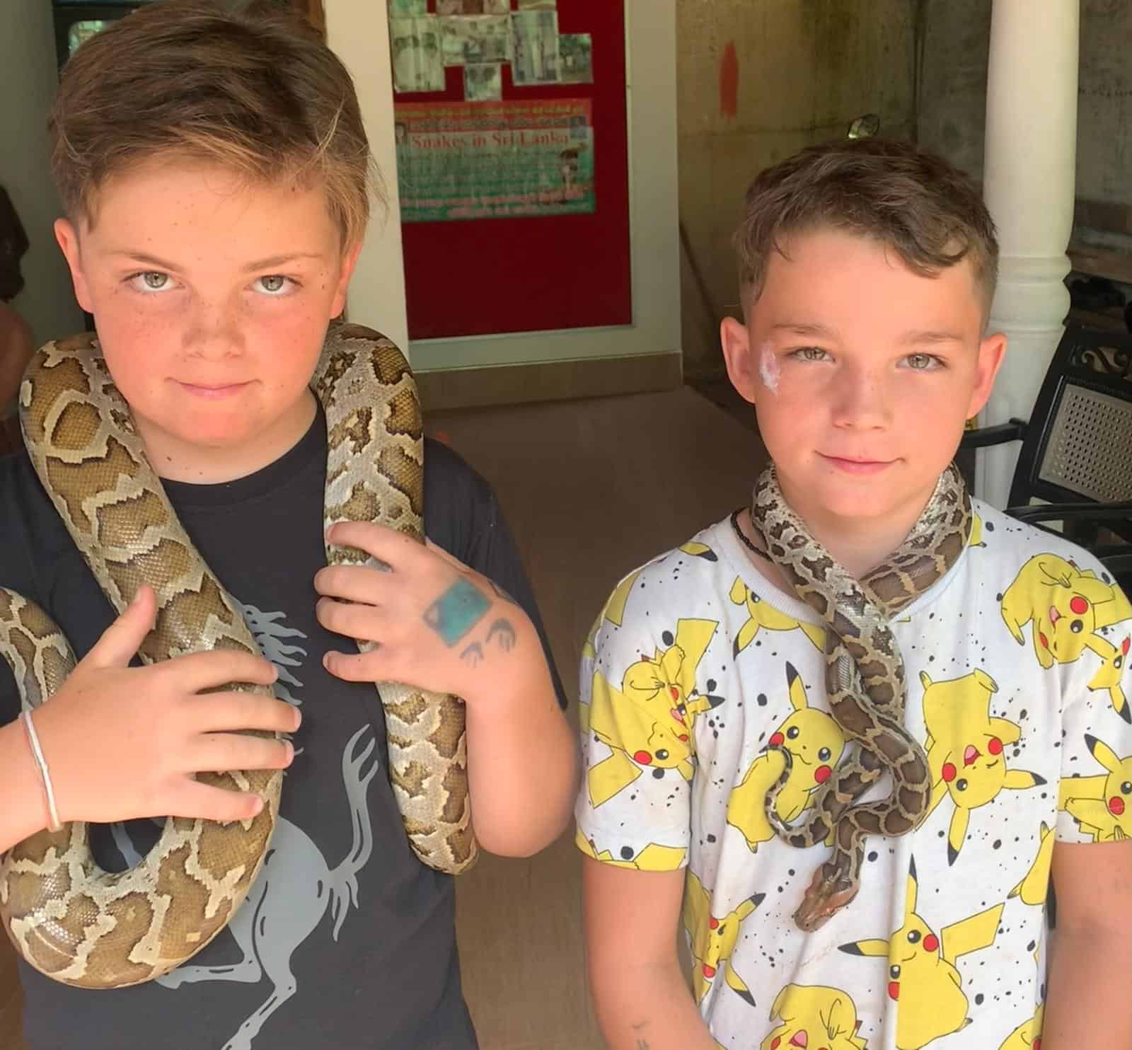 Snakes of Sri Lanka