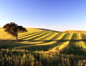 Alentejo Fly Drive