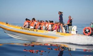 Archipelago Choice – Our latest job opportunities in 2026