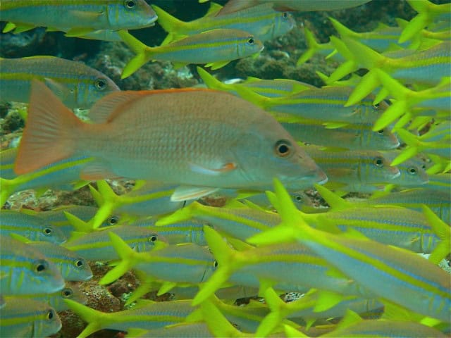 Sao Tome and Principe Hoildays - Club Santana