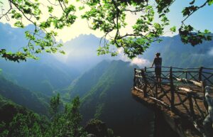 Holidays in Madeira