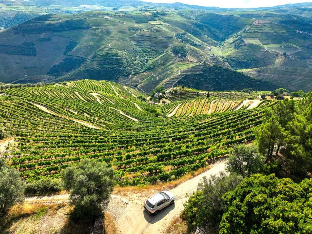 Northern Portugal Douro Valley
