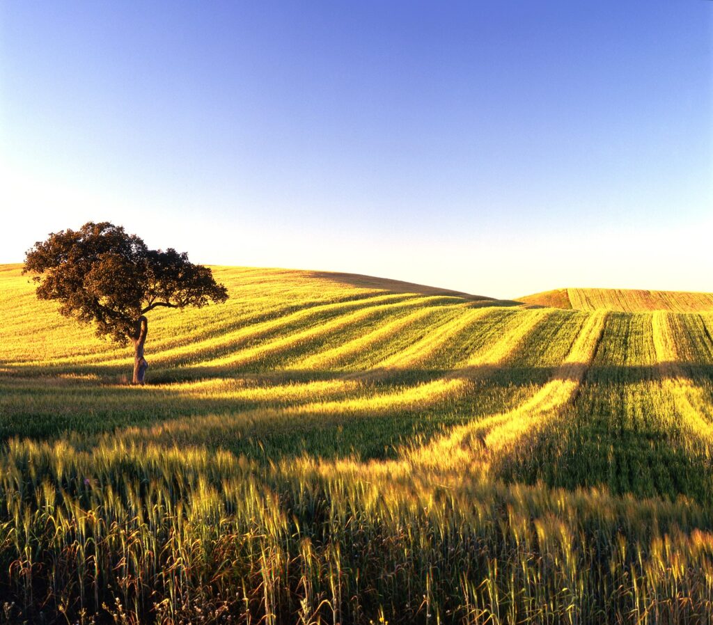 Portugal Alentejo