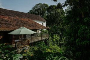 Brand New Plantation Escape to São Tomé and Príncipe