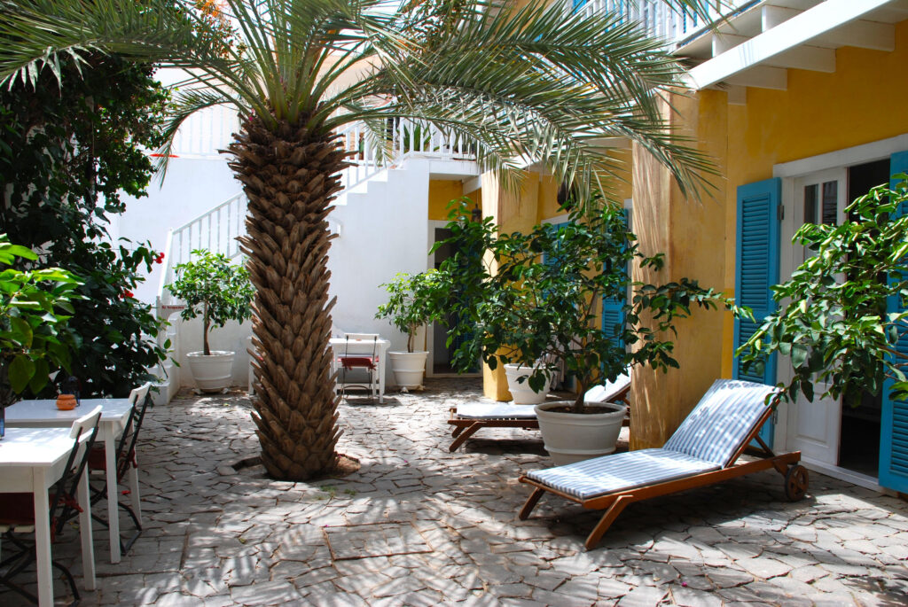 The Migrante Guesthouse in Sal Rei