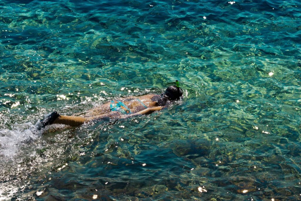 Snorkelling - Pi-R photos - Shutterstock.com