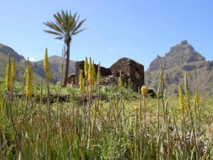 Review of Cape Verde walking holidays