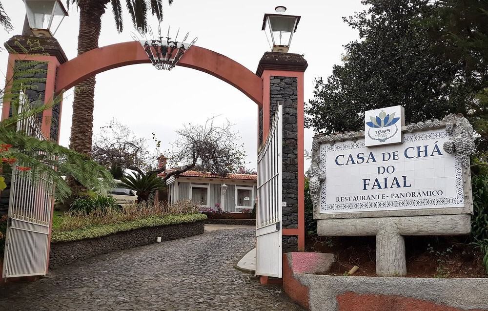 Where to eat on Madeira 