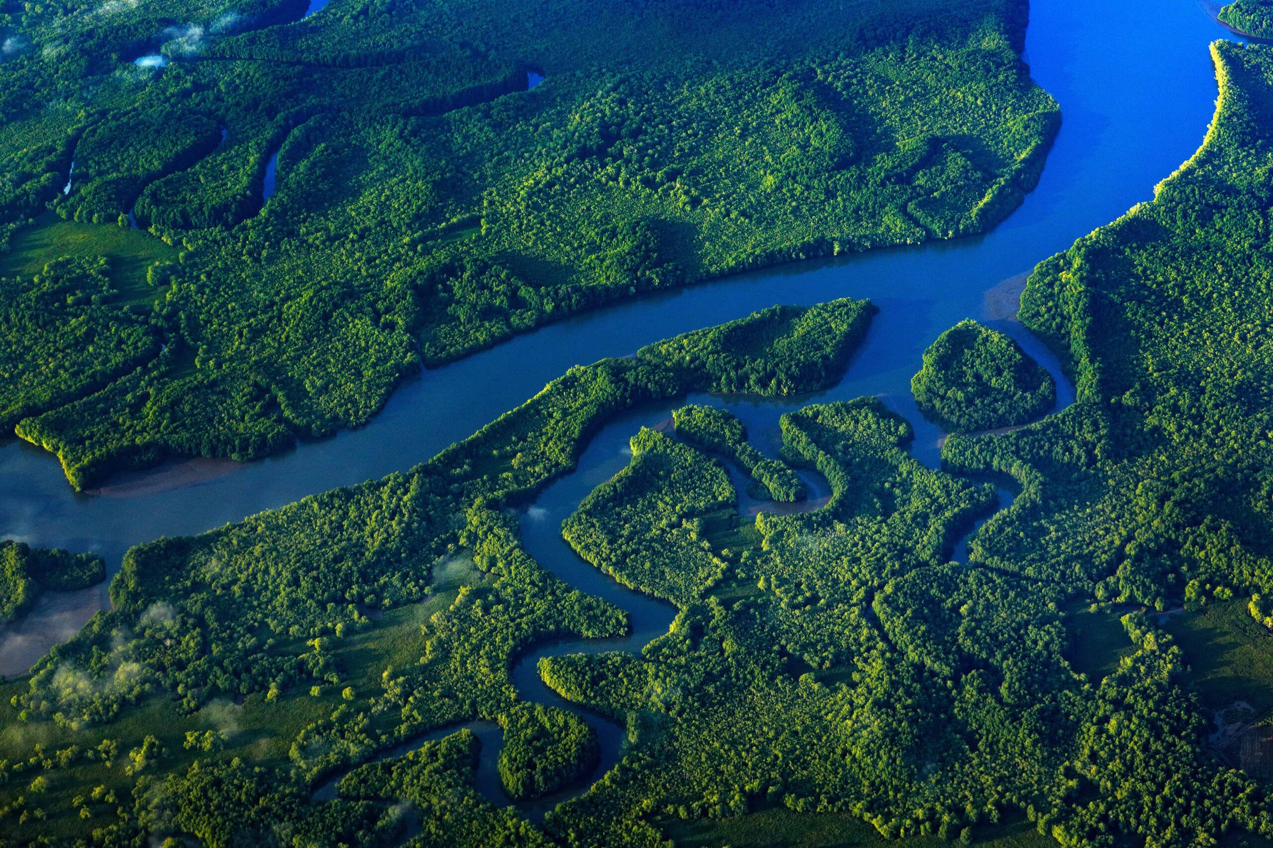 Aerial View of Corcovado National Park