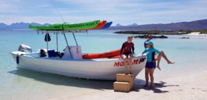 Baja California Classic Whale Watching Adventure