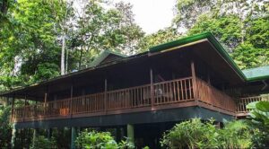 Selva Verde Lodge & Rainforest Reserve