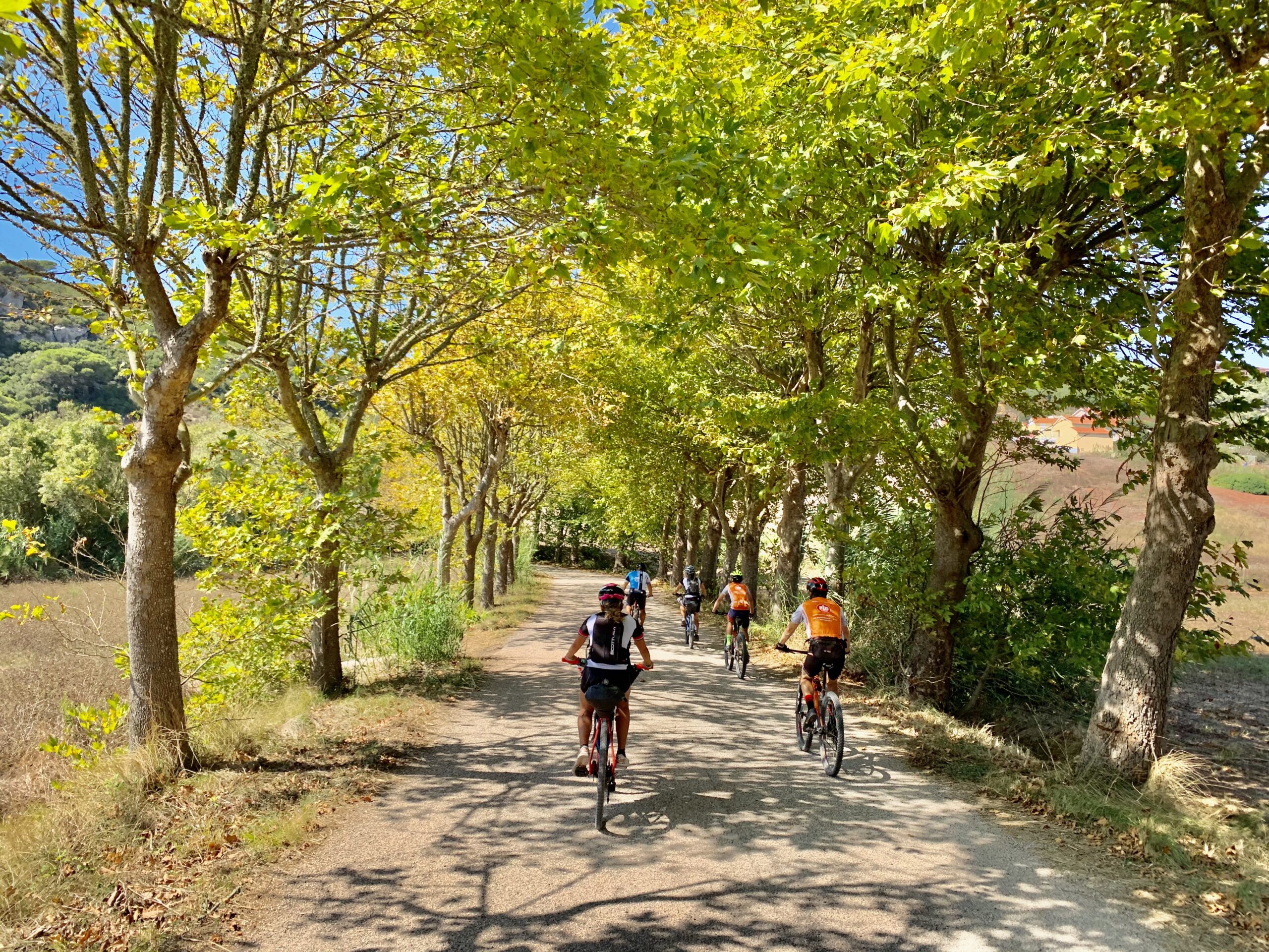 Cycling Holidays