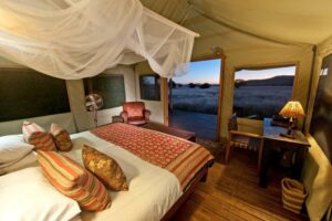 Desert Rhino Camp