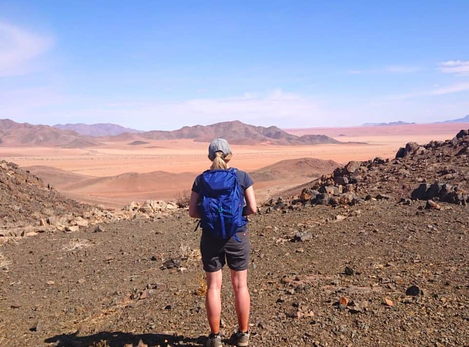 Walking - Tok Tokkie - Namibia