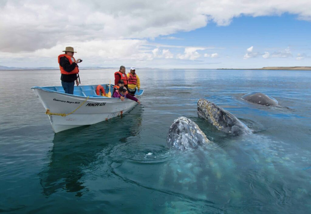 Baja California
