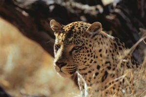 Holidays in Namibia
