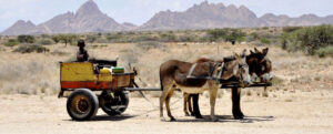 Spitzkoppe Rest Camp