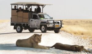 Namibia Holidays - Etosha Safari Lodge and Camp