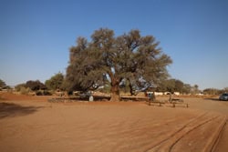 Sesreim Campsite