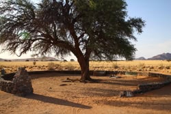 Sesreim Campsite