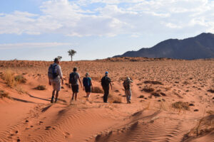 Hiking Namibia’s Tok Tokkie Trails in the NamibRand